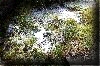 foto (20)